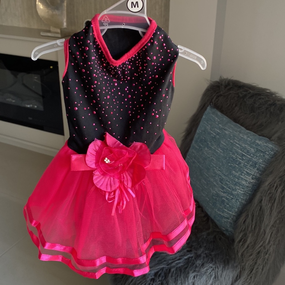 Dog Dress Black and Fuchsia. Size M - Picture 3 of 13